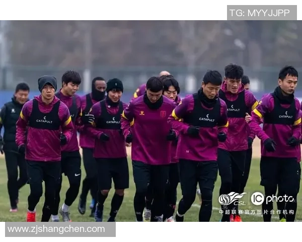 南京羽毛球队与武汉羽毛球队赛后复盘力量对比分析与战术总结