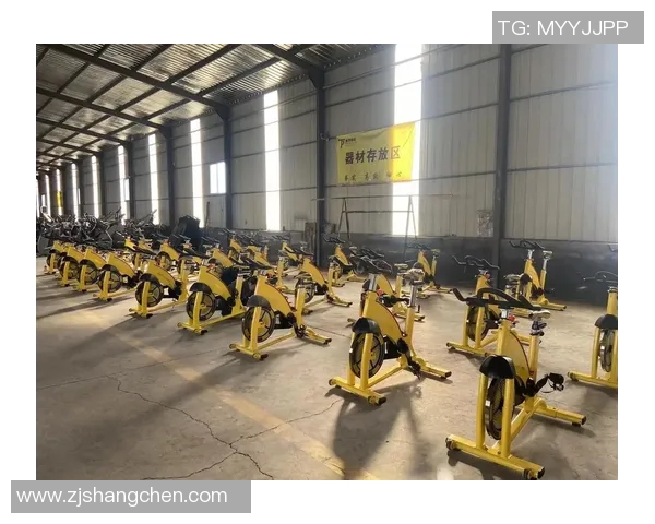 迈宝赫健身器材报价：高端健身器材价格与配置